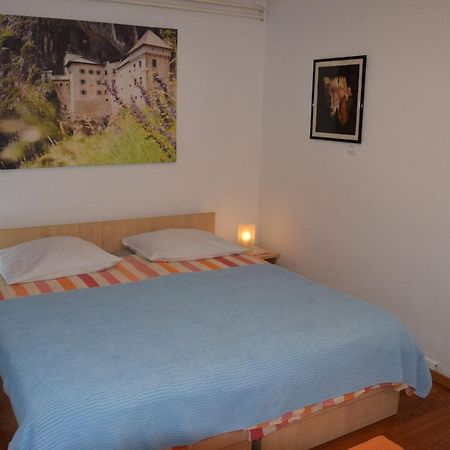Rooms Ribnikar Postumia Esterno foto