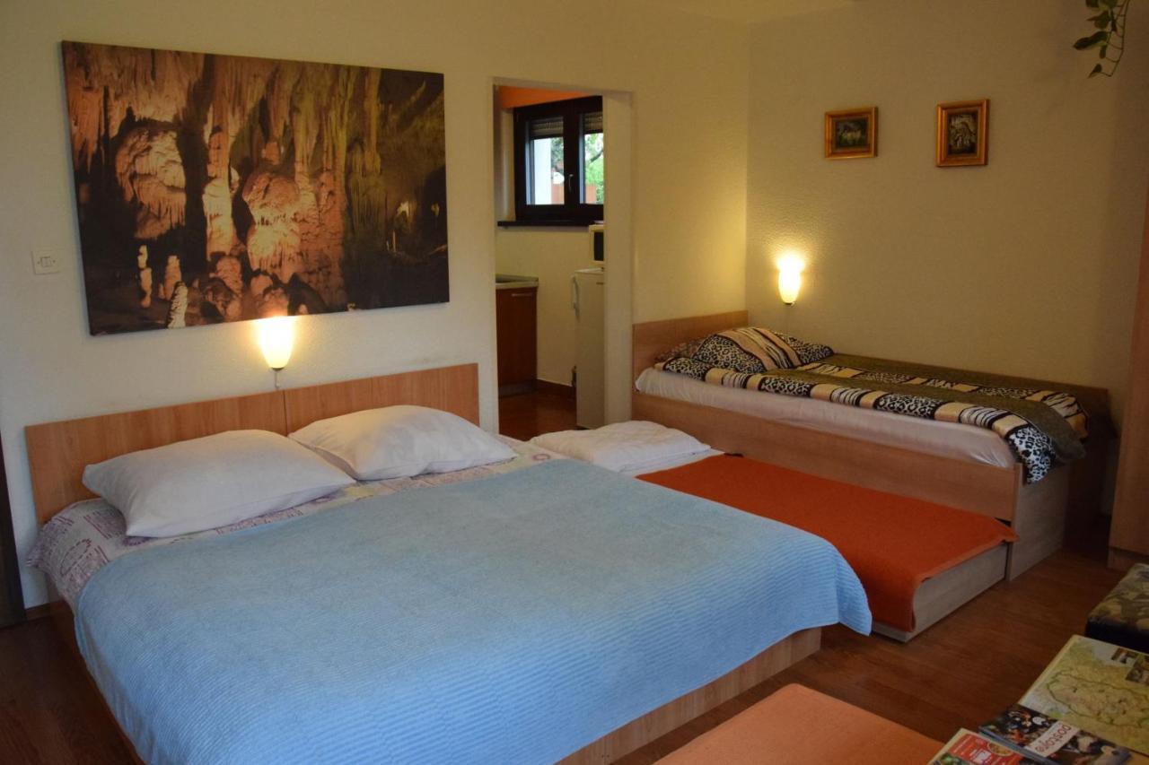 Rooms Ribnikar Postumia Esterno foto